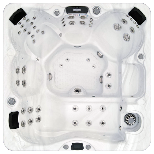 Avalon-X EC-867LX hot tubs for sale in Caro